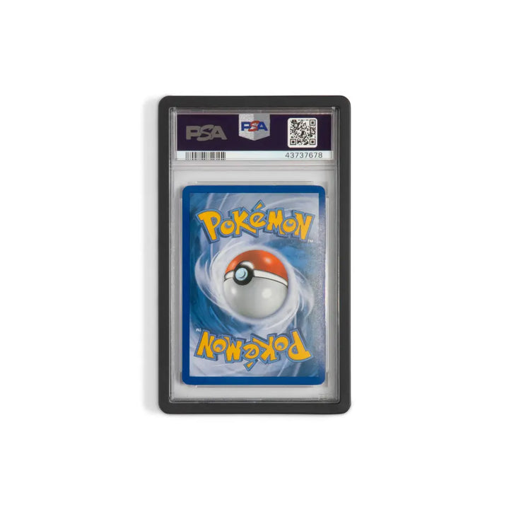 Black Guardian Bumper