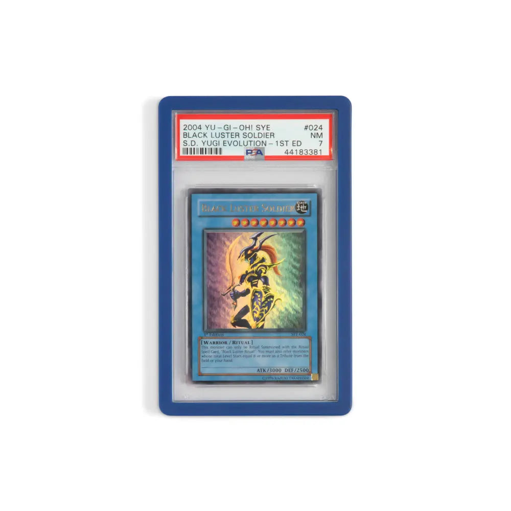 Dark Blue Guardian Bumper