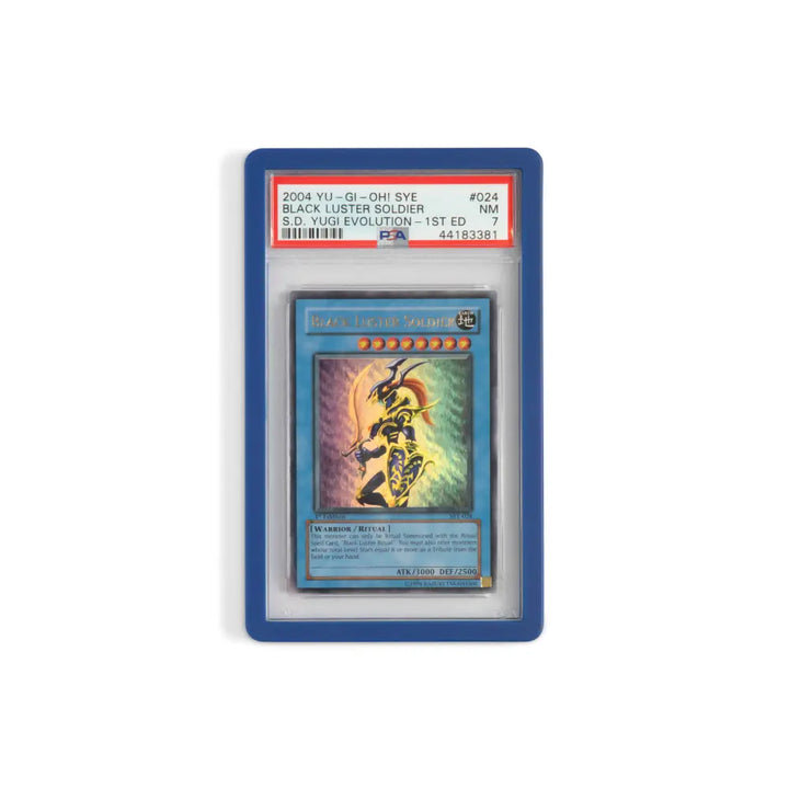 Dark Blue Guardian Bumper