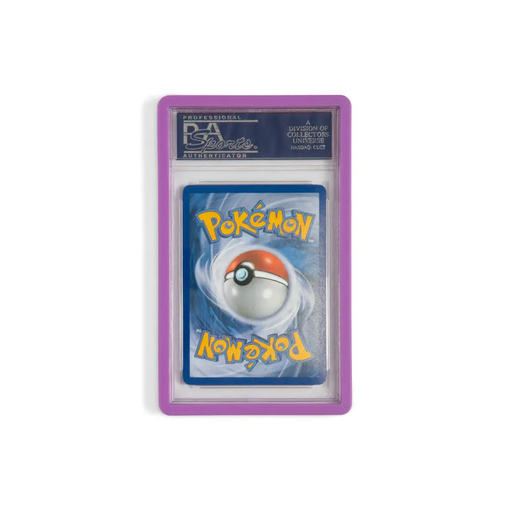 Purple Guardian Bumper