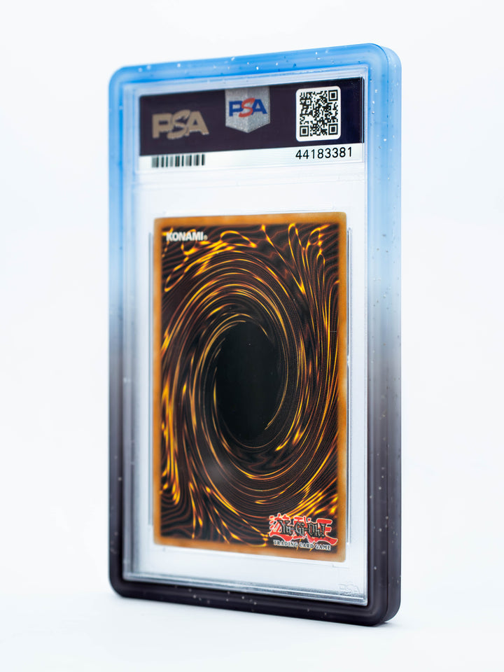 Guardian Bumper - Gradient Series - PSA Style