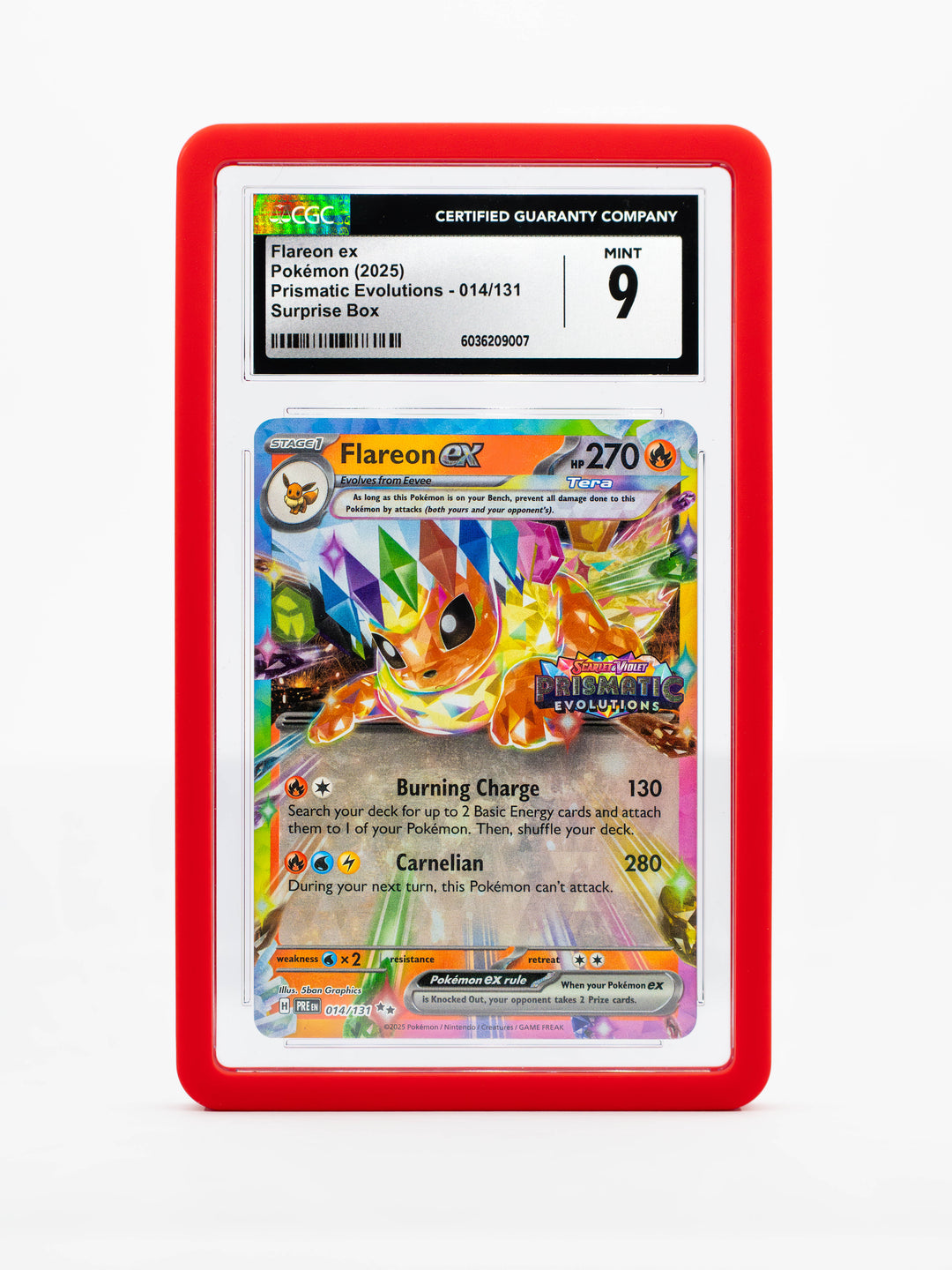 NEW Guardian Bumper - CGC Style