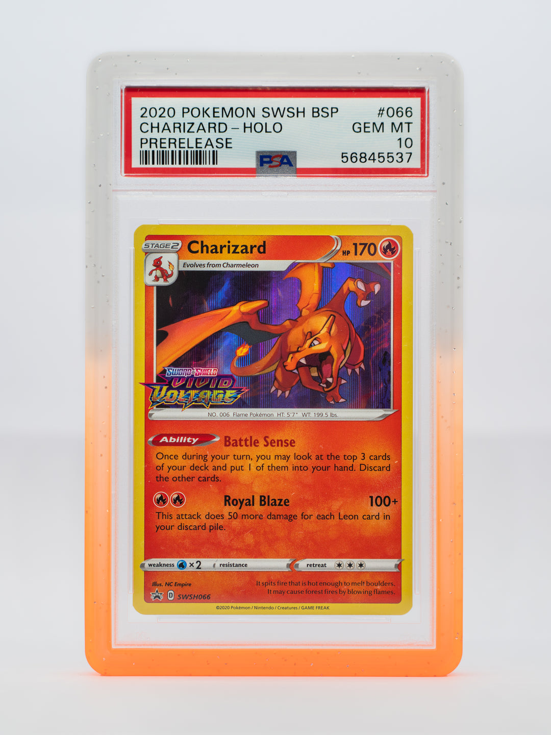 Guardian Bumper - Gradient Series - PSA Style